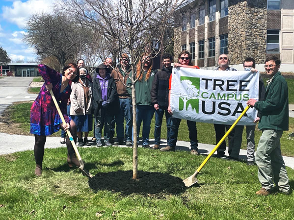 Tree Campus USA members planting tree