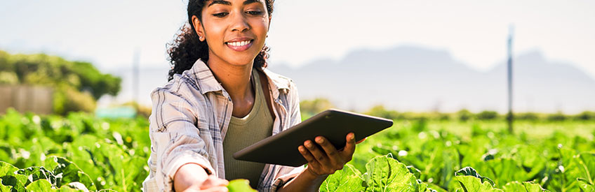 young woman using a digital tablet while inspecting crops on a farm