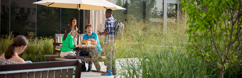 3 students on campus smiling under an umbrella on a bright summer day