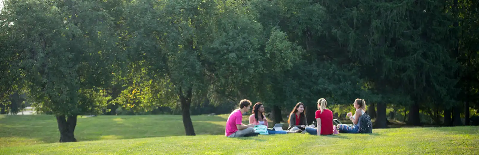 Students sitting in a group on the campus lawn