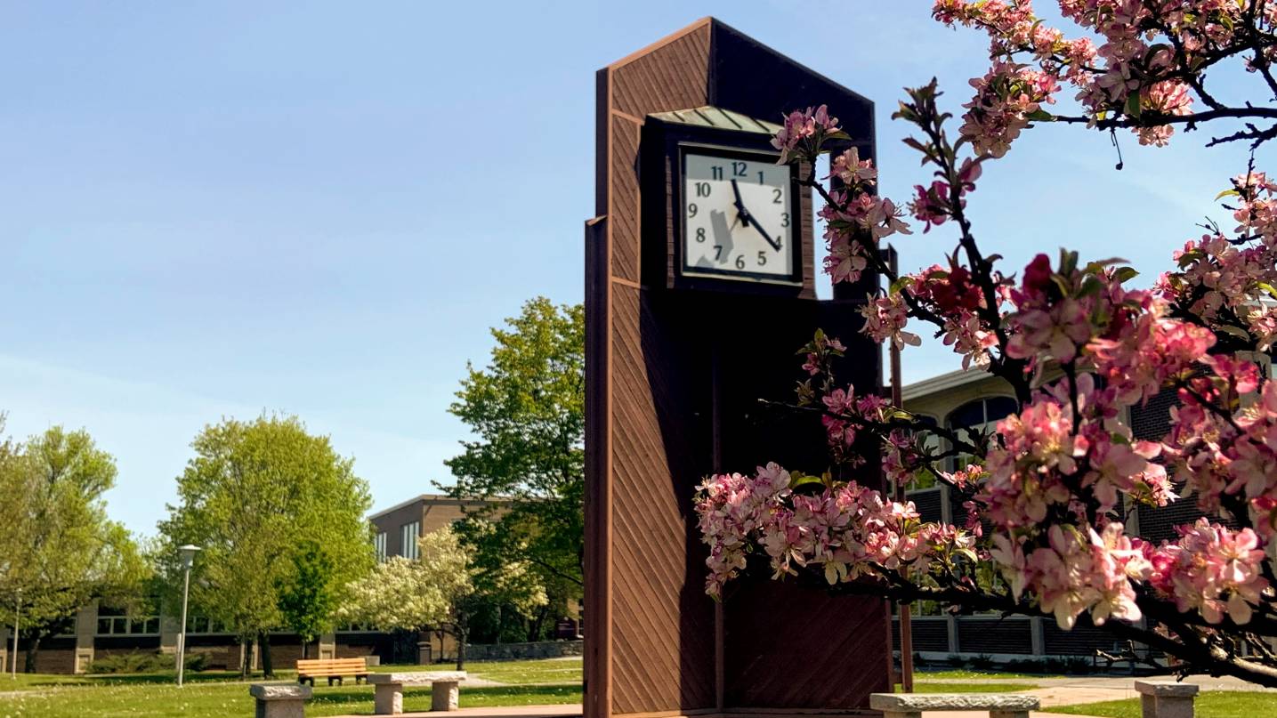 Campus with cherry blossom