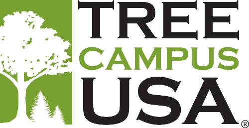 image of tree campus badge
